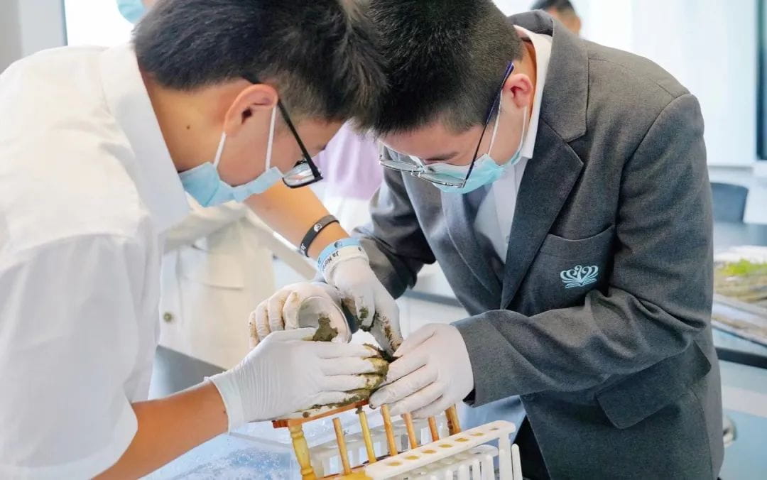 返校集结完毕｜苏诺学子元气回归！ - WELCOMEBACK